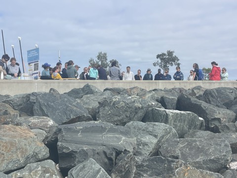 Miniature 29